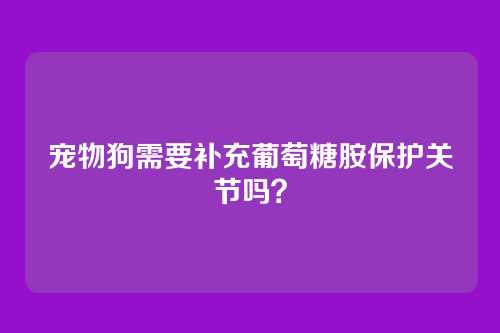 宠物狗需要补充葡萄糖胺保护关节吗？
