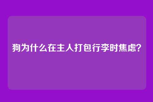 狗为什么在主人打包行李时焦虑?