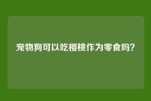 宠物狗可以吃樱桃作为零食吗?