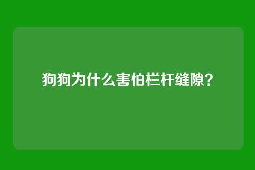 狗狗为什么害怕栏杆缝隙?