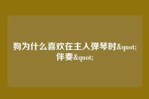 狗为什么喜欢在主人弹琴时"伴奏"