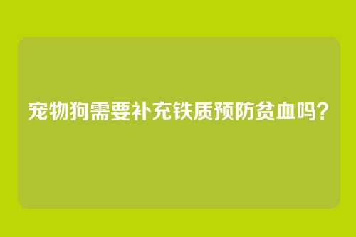 宠物狗需要补充铁质预防贫血吗?