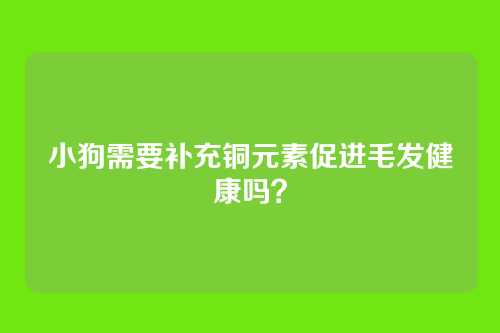 小狗需要补充铜元素促进毛发健康吗？