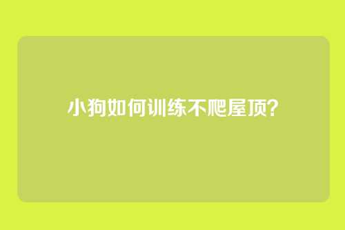 小狗如何训练不爬屋顶?