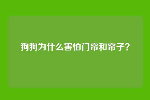 狗狗为什么害怕门帘和帘子?