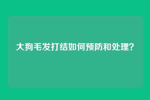 大狗毛发打结如何预防和处理？
