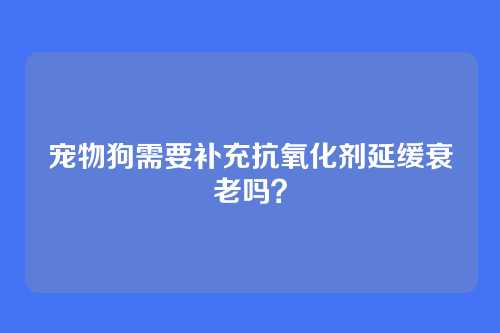 宠物狗需要补充抗氧化剂延缓衰老吗？