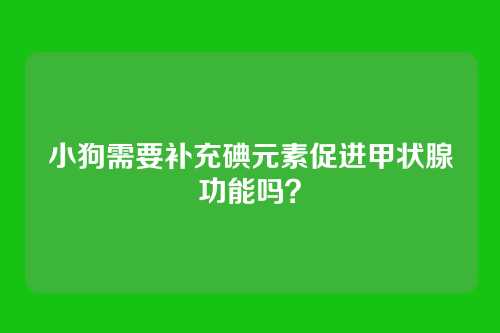 小狗需要补充碘元素促进甲状腺功能吗?