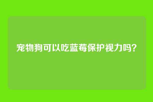 宠物狗可以吃蓝莓保护视力吗?