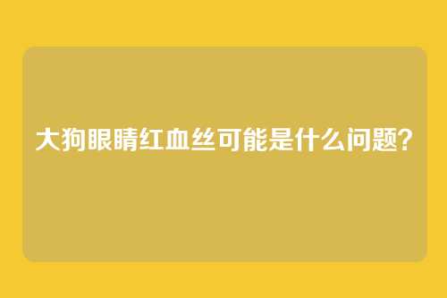 大狗眼睛红血丝可能是什么问题？