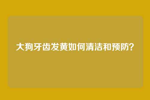 大狗牙齿发黄如何清洁和预防?