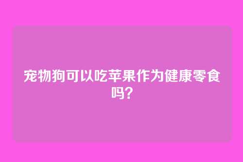 宠物狗可以吃苹果作为健康零食吗?