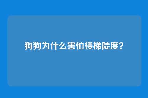 狗狗为什么害怕楼梯陡度?