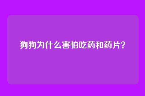 狗狗为什么害怕吃药和药片？