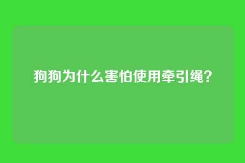 狗狗为什么害怕使用牵引绳？
