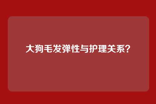 大狗毛发弹性与护理关系?