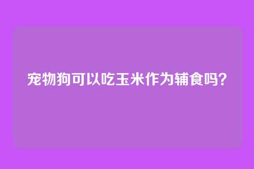 宠物狗可以吃玉米作为辅食吗？