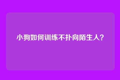 小狗如何训练不扑向陌生人?