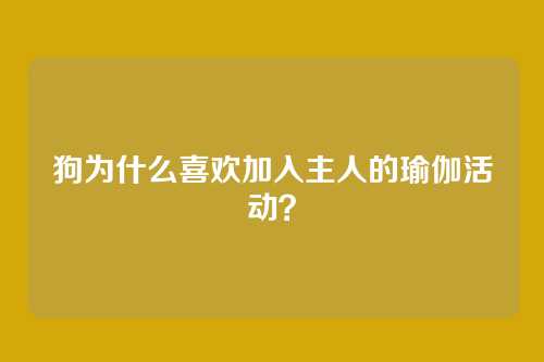 狗为什么喜欢加入主人的瑜伽活动？