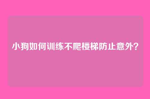 小狗如何训练不爬楼梯防止意外？