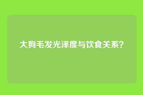 大狗毛发光泽度与饮食关系?