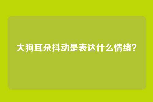 大狗耳朵抖动是表达什么情绪?