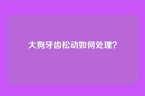 大狗牙齿松动如何处理？