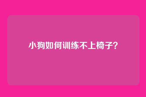 小狗如何训练不上椅子？