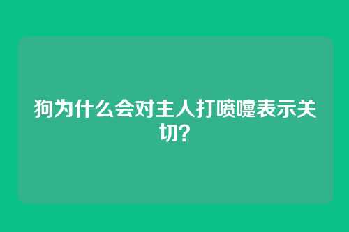 狗为什么会对主人打喷嚏表示关切？