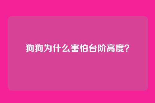 狗狗为什么害怕台阶高度?