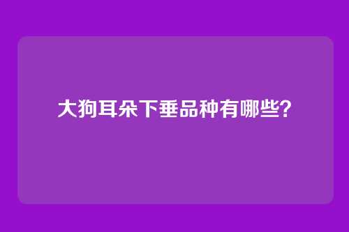 大狗耳朵下垂品种有哪些？