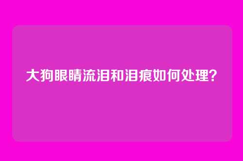 大狗眼睛流泪和泪痕如何处理?