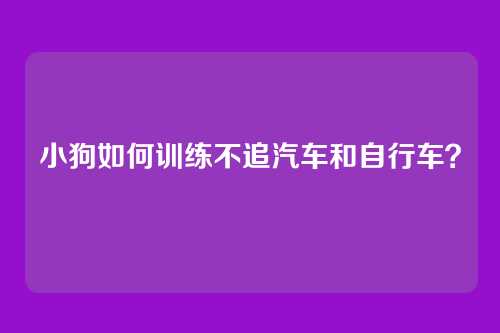 小狗如何训练不追汽车和自行车？