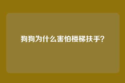 狗狗为什么害怕楼梯扶手?