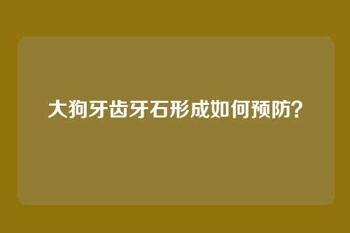 大狗牙齿牙石形成如何预防?
