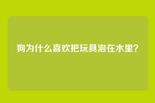 狗为什么喜欢把玩具泡在水里？