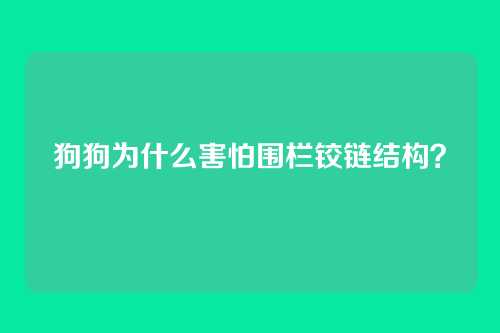 狗狗为什么害怕围栏铰链结构?