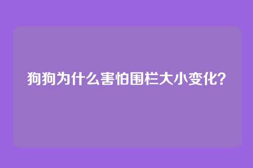狗狗为什么害怕围栏大小变化？