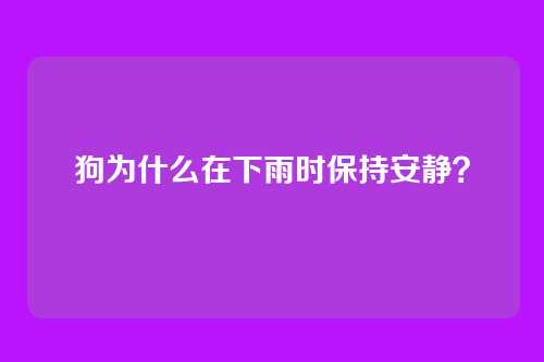 狗为什么在下雨时保持安静？