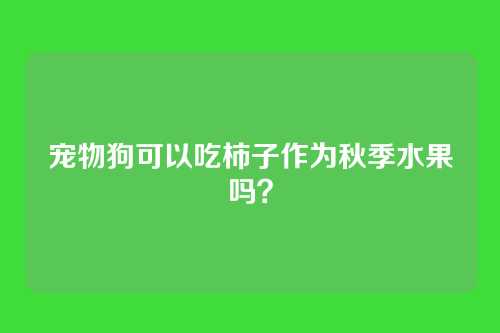 宠物狗可以吃柿子作为秋季水果吗?