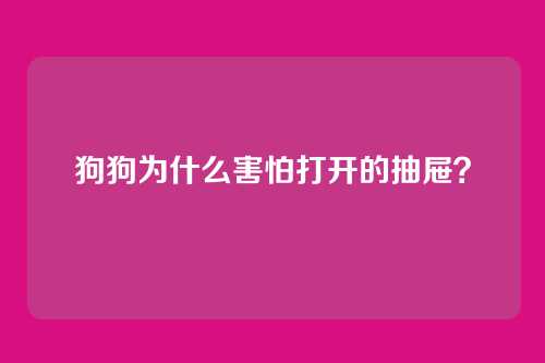 狗狗为什么害怕打开的抽屉?