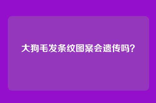 大狗毛发条纹图案会遗传吗?