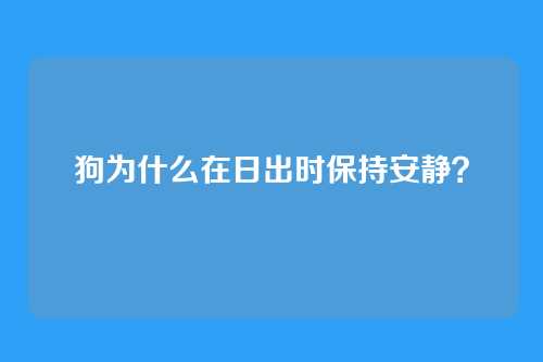 狗为什么在日出时保持安静？