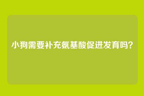 小狗需要补充氨基酸促进发育吗?