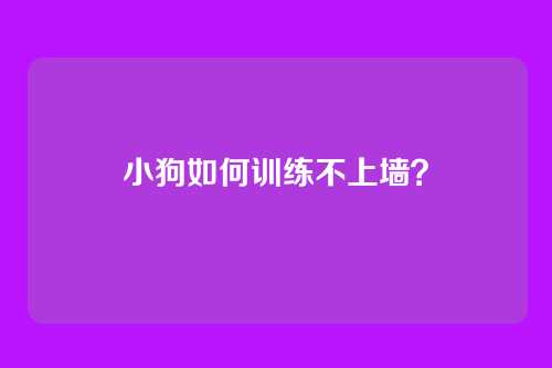 小狗如何训练不上墙?