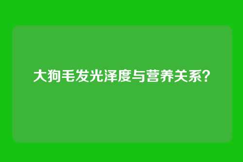 大狗毛发光泽度与营养关系?