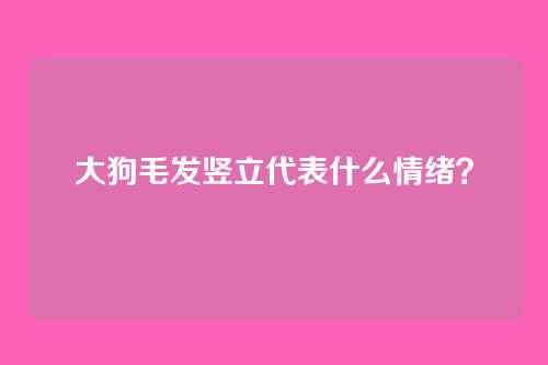 大狗毛发竖立代表什么情绪？