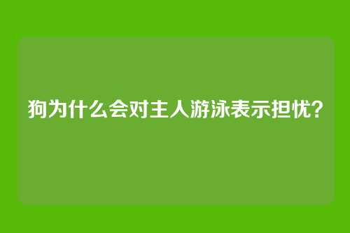 狗为什么会对主人游泳表示担忧?