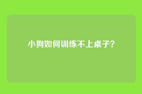 小狗如何训练不上桌子?