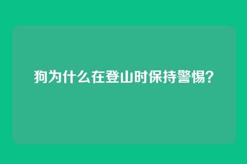狗为什么在登山时保持警惕？